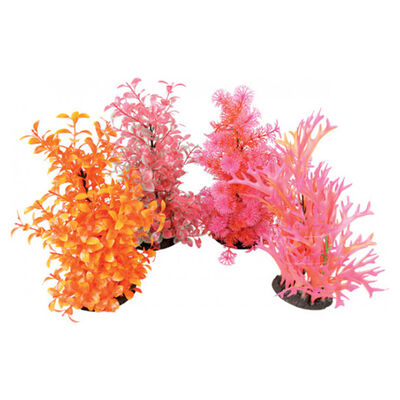 Zolux Aroplant Diffusore Colorato L