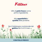 Almo Nature Kitten con Pollo 2kg