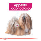 Royal Canin Dog Mini Adult e Senior Exigent 1 kg - Scad 23 Ottobre 2026