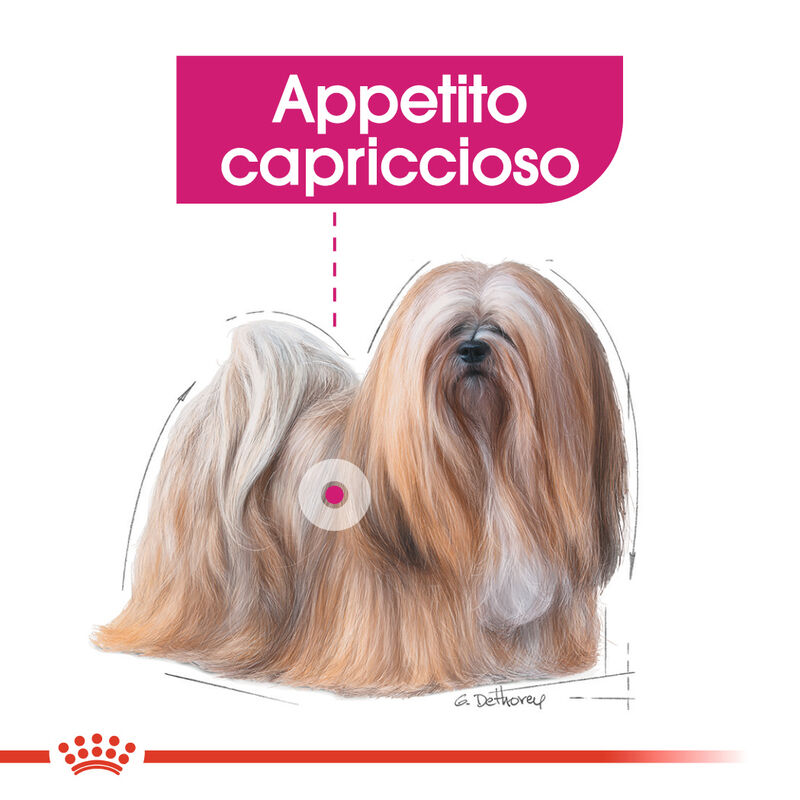 Royal Canin Dog Mini Adult e Senior Exigent 1 kg - Scad 23 Ottobre 2026
