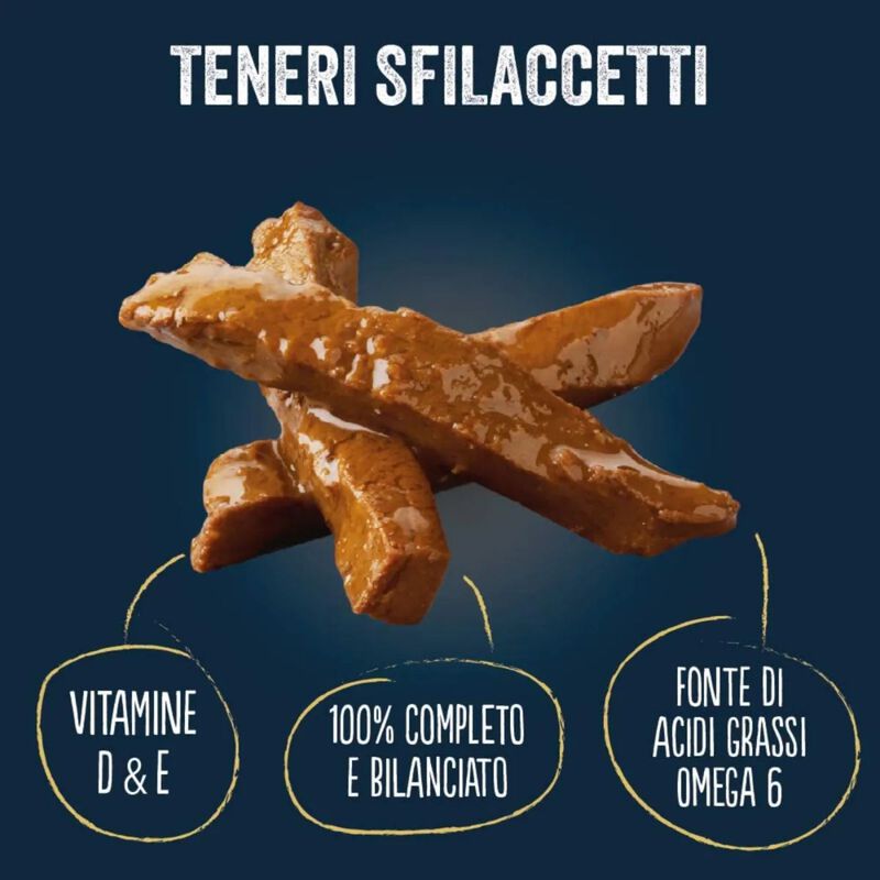 Felix Sfilaccetti Rustici Fish Selection Salmone, Tonno, Merluzzo e Platessa 12 x 80 gr