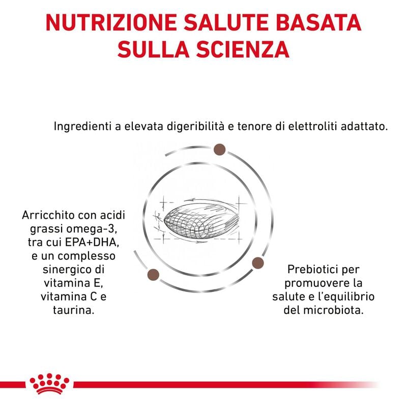 Royal Canin Veterinary Diet Cat Adult Gastrointestinal Hairball 2 kg