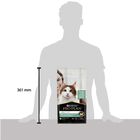 Purina Pro Plan LiveClear Cat Adult Sterilized ricco In Tacchino 1,4 kg