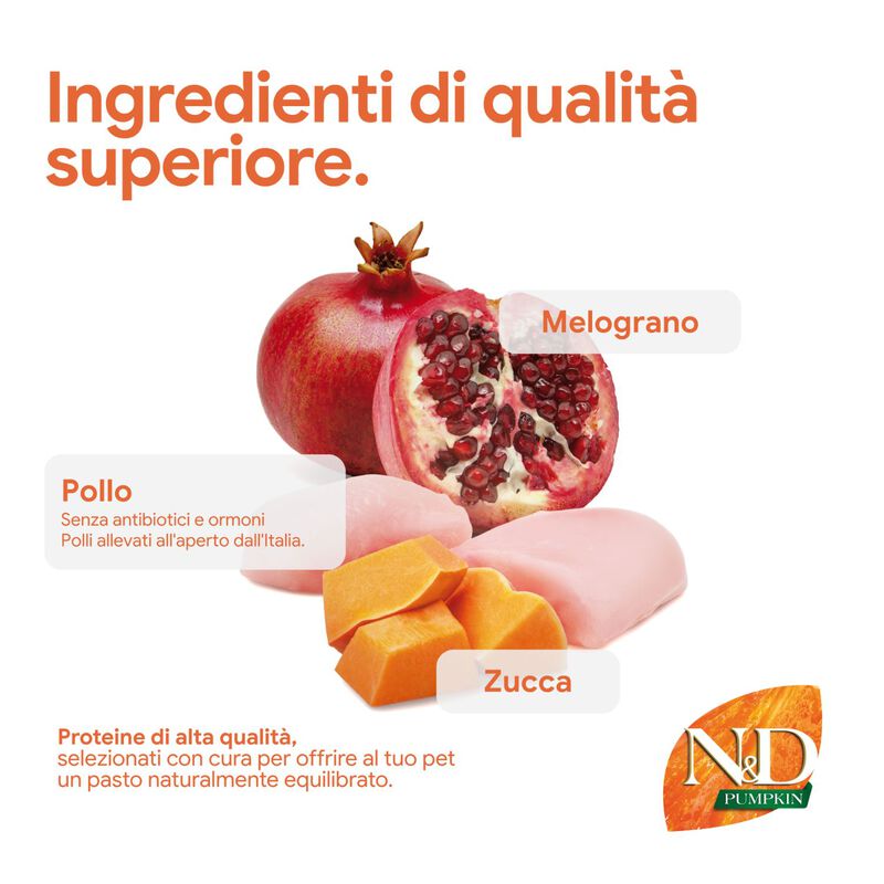N&D Farmina Pumpkin Dog Adult Medium & Maxi Pollo e Melograno 2,5 kg
