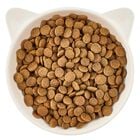 Wow Cat Adult Salmone con Mirtilli Rossi 325 gr
