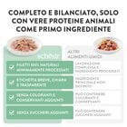 Schesir Cat Tonnetto e Pollo 85 gr