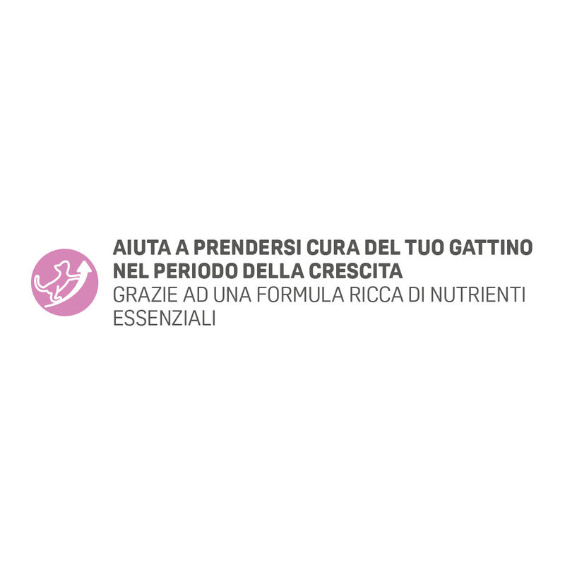 Natural Trainer Cat Kitten con Salmone 1,5 kg