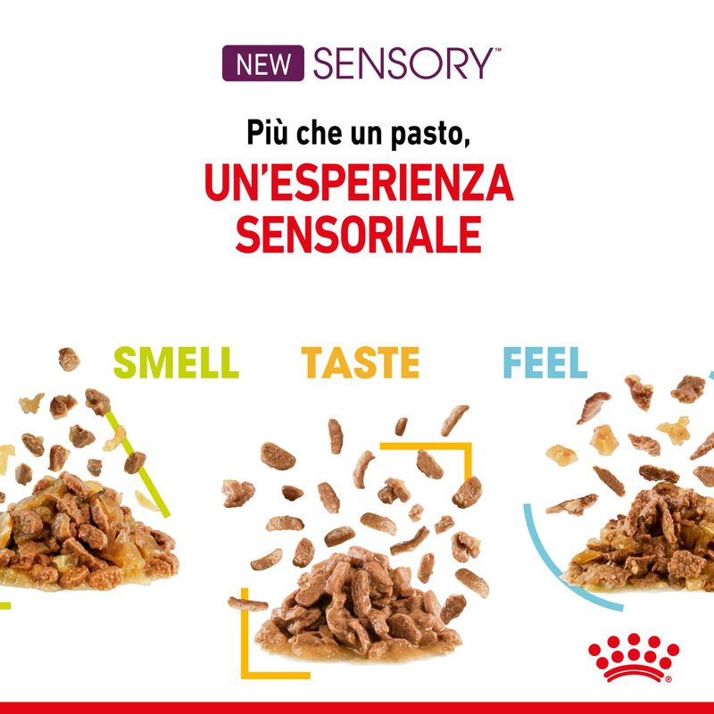 Royal Canin Cat Adult Sensory Smell Salsa 85 gr