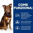 Hill's Prescription Diet Dog Metabolic con agnello e riso 1,5 kg