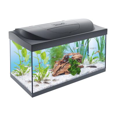 Tetra Starter Line Led 80 l