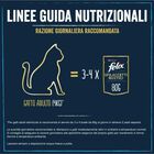 Purina Felix Sfilaccetti Rustici Cat Adult con Anatra 80 gr