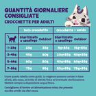 Edgard & Cooper Cat Adult al Pollo 4 kg