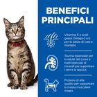 Hill's Science Plan Cat Adult con Tacchino Bustina 85 gr