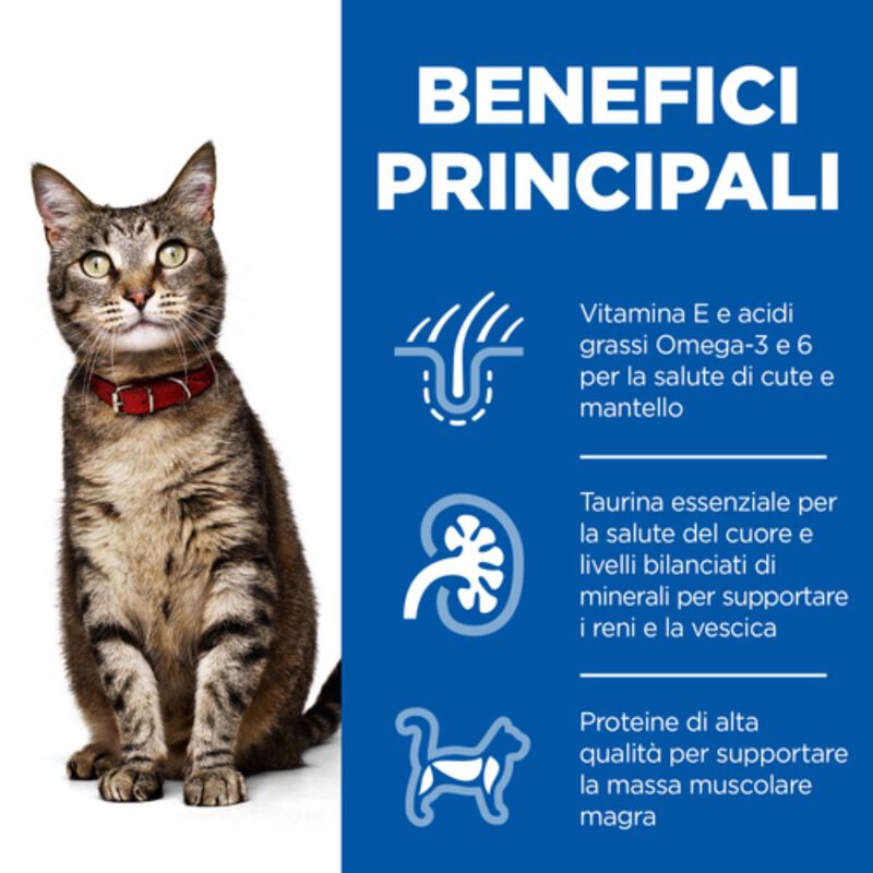 Hill's Science Plan Cat Adult con Tacchino Bustina 85 gr
