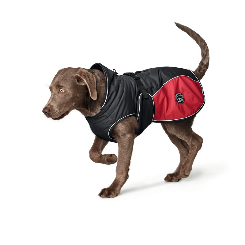Hunter Impermeabile per cani Uppsala Cozy nero e rosso tg. 40