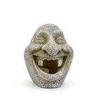 Askoll Decorazione acquari Pietra Dentone 10x8,5x10,5 cm