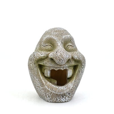 Askoll Decorazione acquari Pietra Dentone 10x8,5x10,5 cm