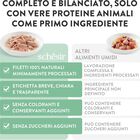 Schesir Cat Adult Tonnetto con Manzo in jelly 85 gr