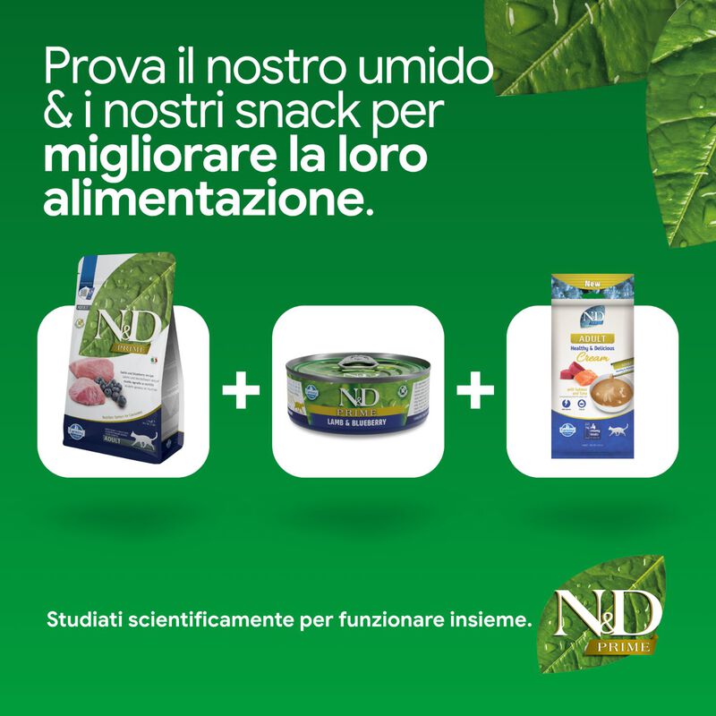 N&D Farmina Prime Cat Adult Agnello & Mirtillo 5 kg