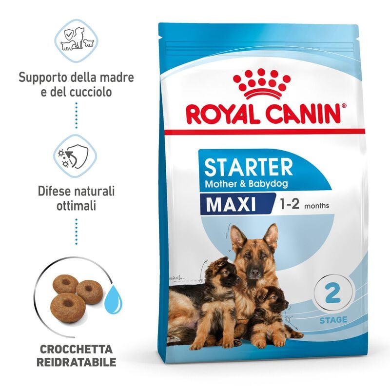 Royal Canin&nbsp;Maxi Starter Mother&Babydog 4 Kg