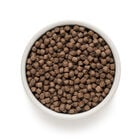 Grandorf Dog Adult Mini 4 Carni 1Kg