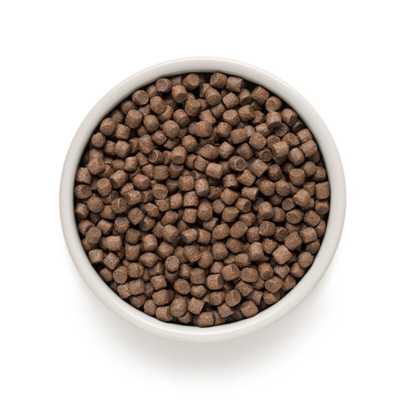 Grandorf Dog Adult Mini 4 Carni 1Kg