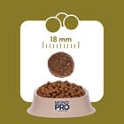 Monopro Dog Adult Medium&Large Grain Free Tacchino 12kg