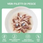 Schesir Cat Tonnetto con Pesce Azzurro in Brodo 70g