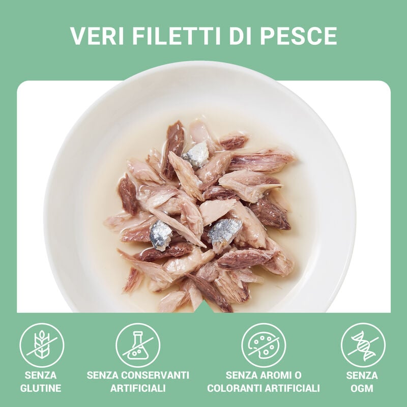 Schesir Cat Tonnetto con Pesce Azzurro in Brodo 70g