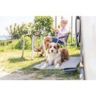 Trixie Ciotola da Viaggio per Cani 250 ml