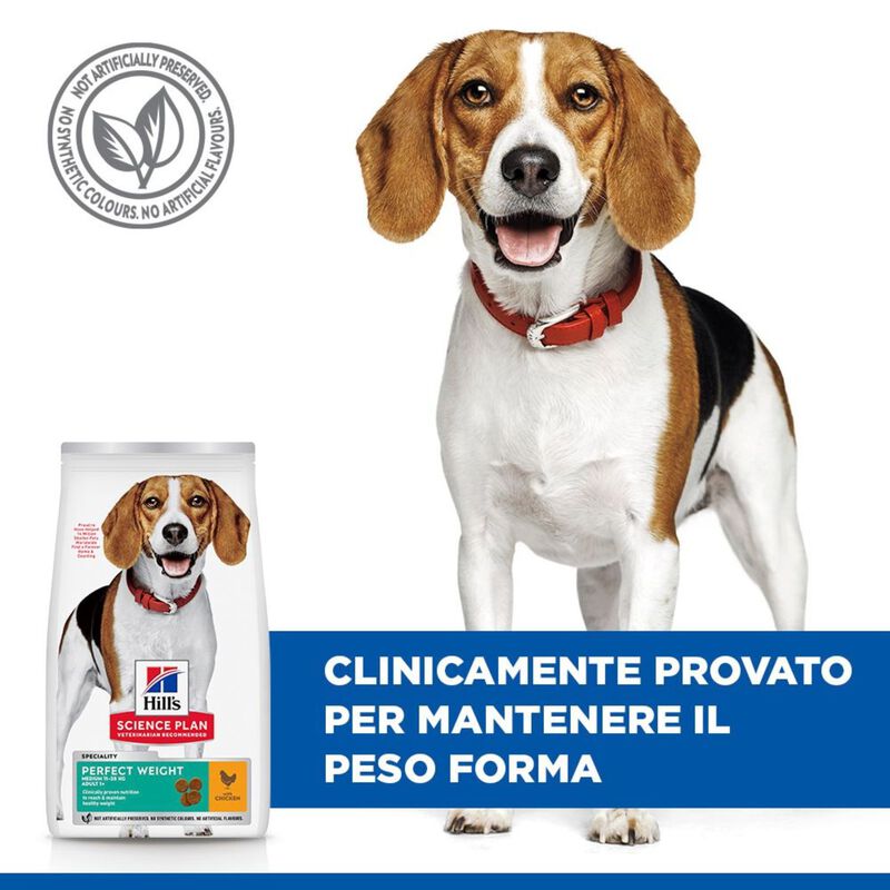 Hill's Science Plan Dog Perfect Weight Medium con Pollo 2 kg