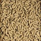 Sera Pond Color 1 lt