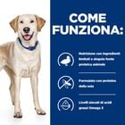 Hill's Prescription Diet Dog d/d Food Sensitives con Anatra e Riso 12 kg - Scad.01 Settembre 26