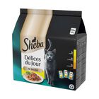 Sheba Delice du Jour Cat Adult Selezione Delicata in Salsa 15 pz x 50 gr