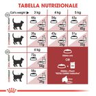Royal Canin Cat Adult Fit 32 10 kg