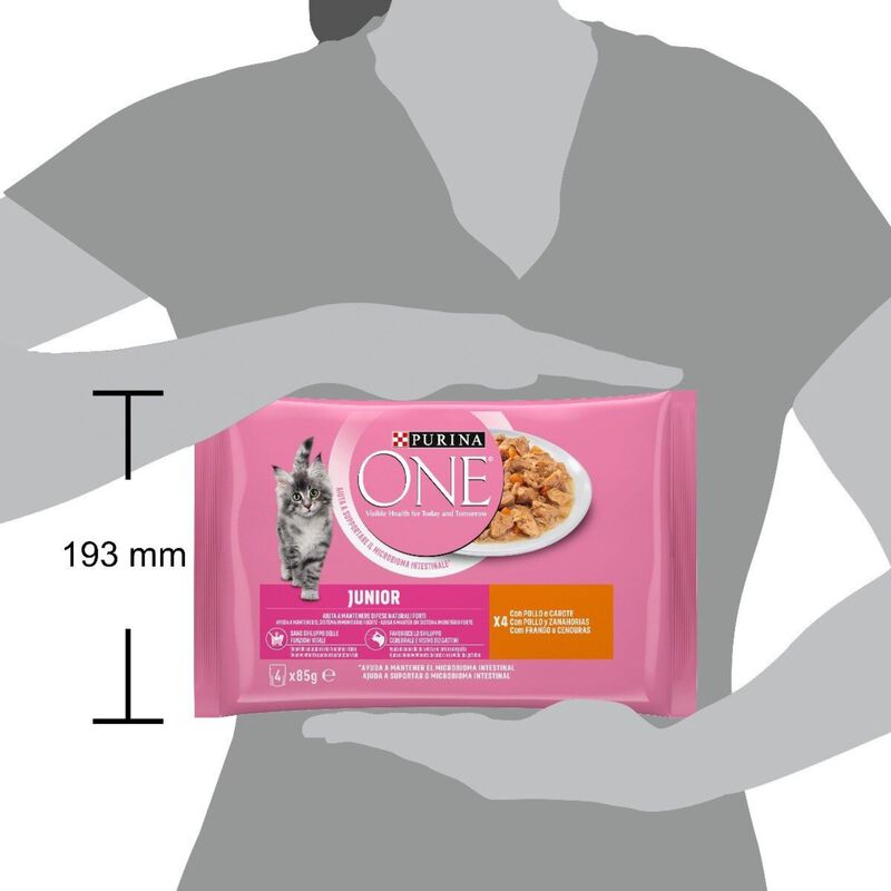 Purina One Kitten con Pollo e Carote 4 pz x 85 gr