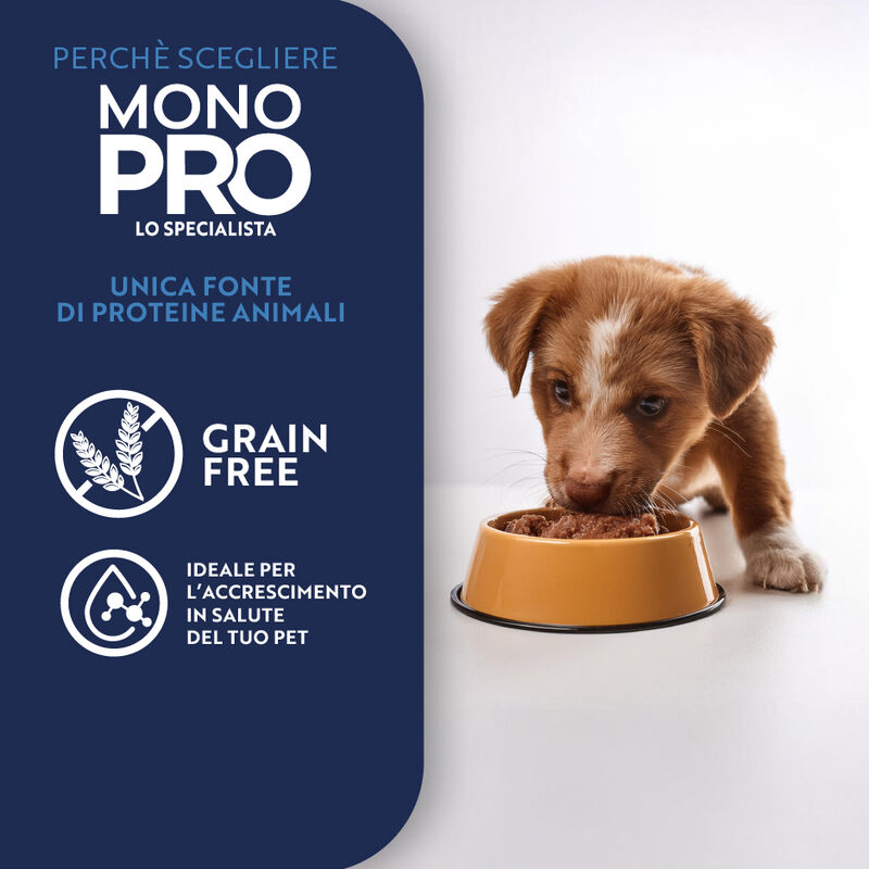 Monopro Puppy All breeds pat&eacute; Salmone 150 gr