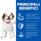 Hill's Science Plan Dog Adult Small & Mini Mousse Pollo 200 gr