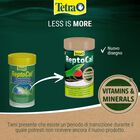 Tetra ReptoCal 100 ml