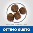 Hill's Science Plan Dog Puppy Medium con Agnello e Riso 14 kg