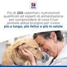 Hill's Science Plan Cat Kitten al Pollo 1,5 kg
