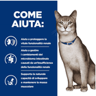 Hill's Prescription Diet Kidney Care per Gatti adulti con Salmone 1,5kg