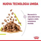 Royal Canin Cat Adult Sensory Smell Salsa 85 gr