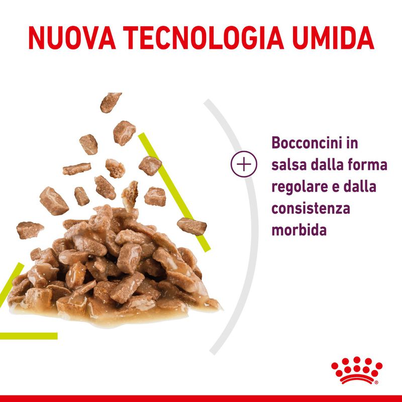 Royal Canin Cat Adult Sensory Smell Salsa 85 gr