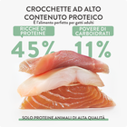 Schesir Born Carnivore Cat Adult Aringa con Salmone 1,25 kg