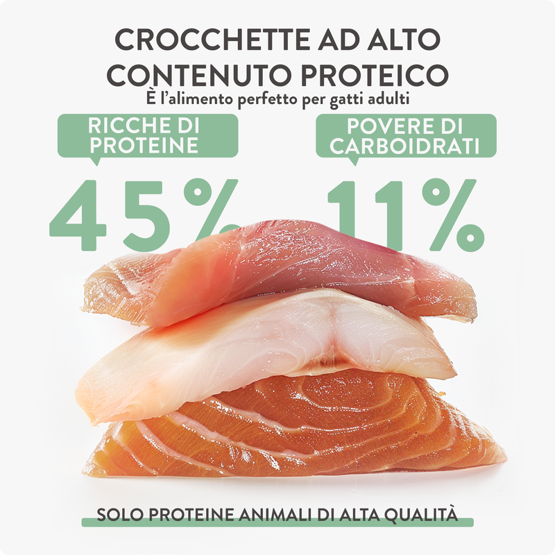 Schesir Born Carnivore Cat Adult Aringa con Salmone 1,25 kg