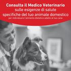Royal Canin Veterinary Diet Small Dog Adult Glycobalance 4 kg