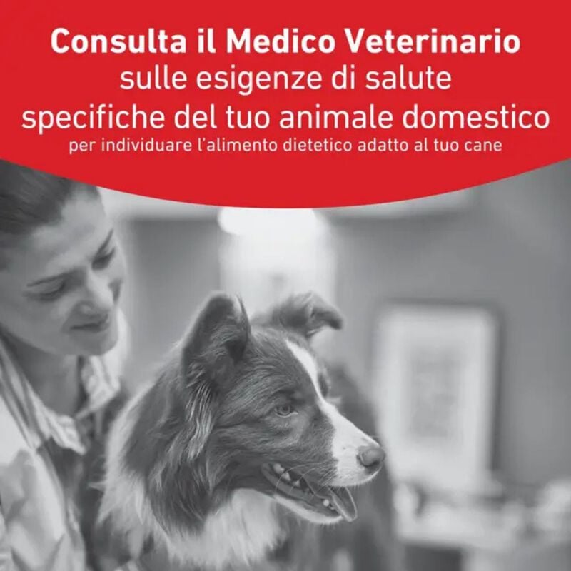 Royal Canin Veterinary Diet Small Dog Adult Glycobalance 4 kg