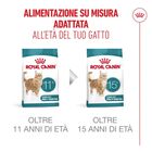 Royal Canin Cat Senior Ageing +11 anni 400 gr
