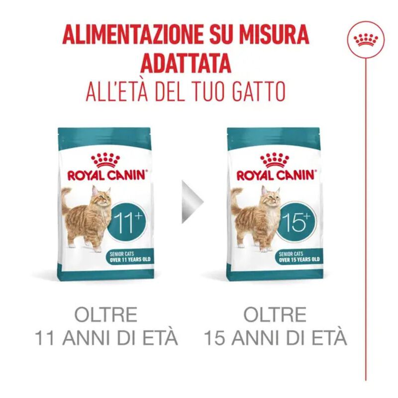 Royal Canin Cat Senior Ageing +11 anni 400 gr